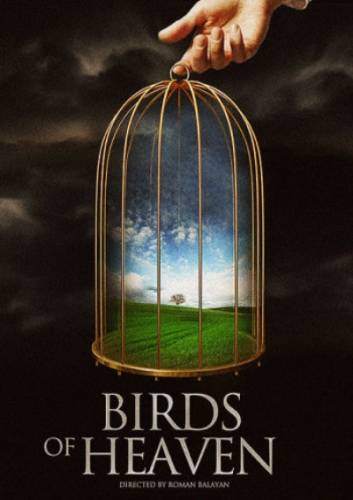 Райские птицы / Birds of Heaven 2008